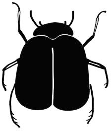 Bug